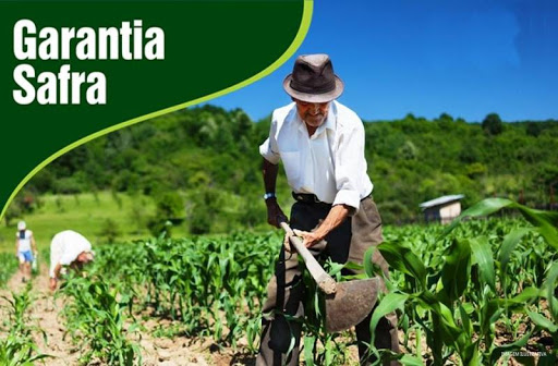 Secretaria de Agricultura regulariza produtores rurais para o recebimento do Garantia Safra